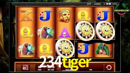 Jogos de mesa e apostas rápidas na 234tiger